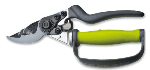 Screenshot 2024-12-14 131701