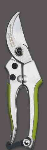 Screenshot 2024-12-14 142639