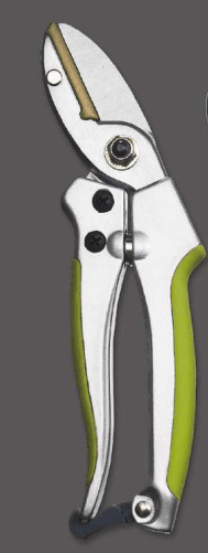 Screenshot 2024-12-14 142650