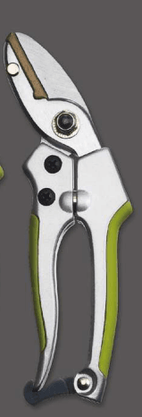 Screenshot 2024-12-14 142710