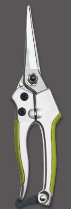 Screenshot 2024-12-14 143422