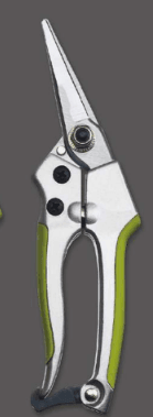 Screenshot 2024-12-14 143429