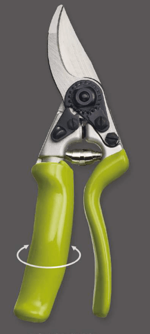 Screenshot 2024-12-14 144753