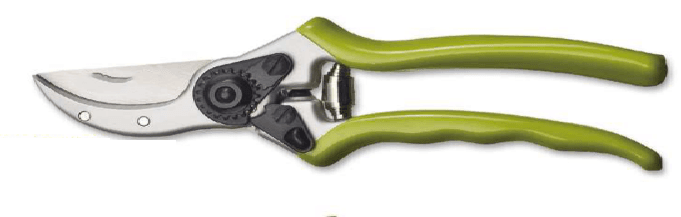 Screenshot 2024-12-14 145235