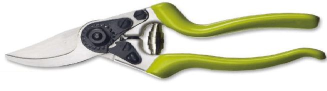 Screenshot 2024-12-14 145247