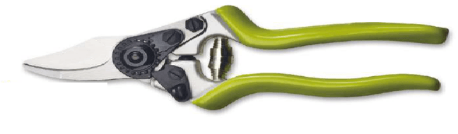 Screenshot 2024-12-14 145252