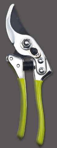 Screenshot 2024-12-14 150811