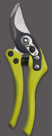 Screenshot 2024-12-14 150846