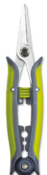 Screenshot 2024-12-14 152239