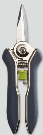 Screenshot 2024-12-14 152431