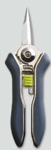 Screenshot 2024-12-14 152439