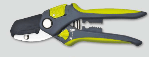 Screenshot 2024-12-14 154540