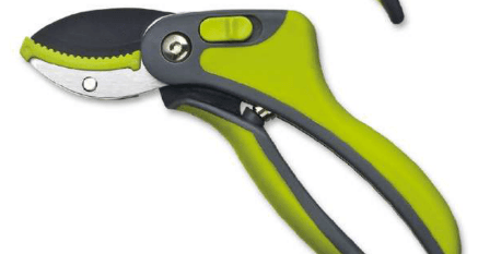 Screenshot 2024-12-14 155249