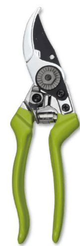 Screenshot 2024-12-14 164328