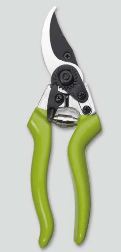 Screenshot 2024-12-14 165530