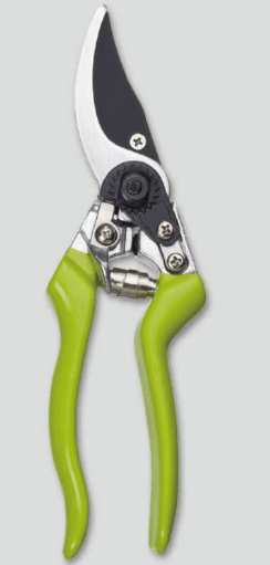 Screenshot 2024-12-14 165546