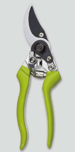 Screenshot 2024-12-14 165552