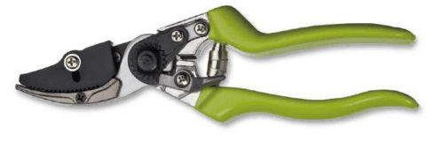 Screenshot 2024-12-14 170631