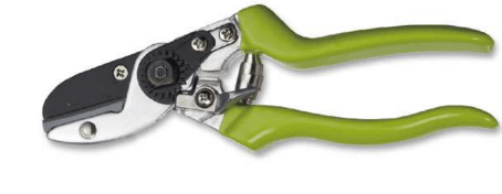 Screenshot 2024-12-14 170652