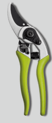 Screenshot 2024-12-14 172832