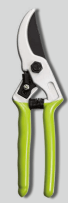 Screenshot 2024-12-14 172849