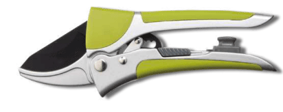 Screenshot 2024-12-14 174153