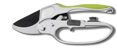 Screenshot 2024-12-14 174209