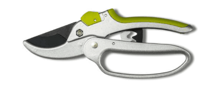 Screenshot 2024-12-14 174215