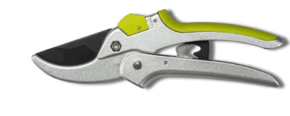 Screenshot 2024-12-14 174222