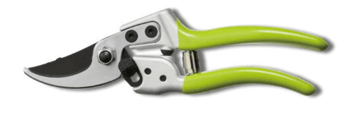 Screenshot 2024-12-14 174622