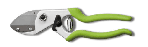 Screenshot 2024-12-14 174634