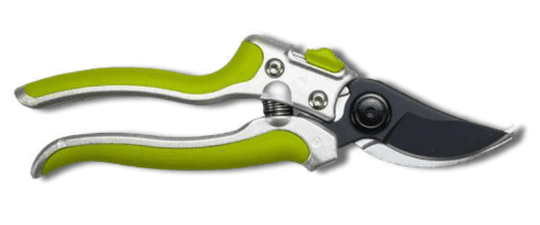 Screenshot 2024-12-16 103619