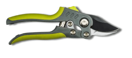 Screenshot 2024-12-16 103633