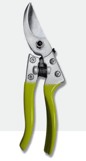 Screenshot 2024-12-16 104211