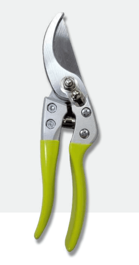 Screenshot 2024-12-16 104229