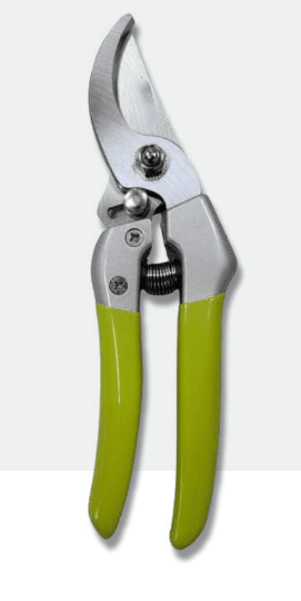 Screenshot 2024-12-16 104237