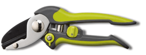 Screenshot 2024-12-16 105043