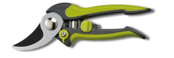 Screenshot 2024-12-16 105118