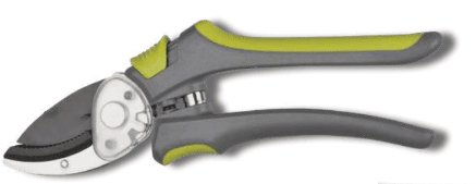 Screenshot 2024-12-16 105134