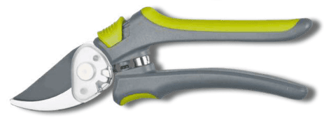 Screenshot 2024-12-16 105157