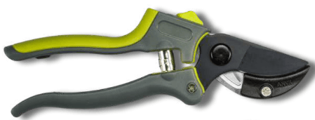 Screenshot 2024-12-16 110332