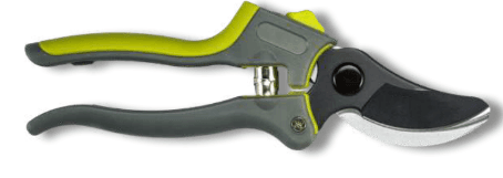 Screenshot 2024-12-16 110345