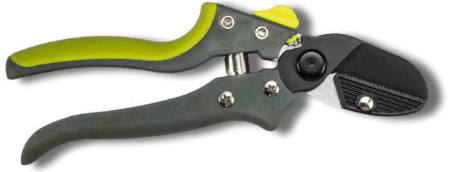 Screenshot 2024-12-16 110414