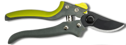 Screenshot 2024-12-16 110439