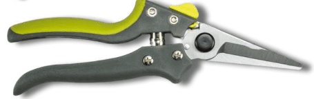 Screenshot 2024-12-16 110458