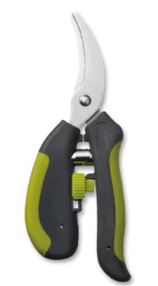 Screenshot 2024-12-16 112548