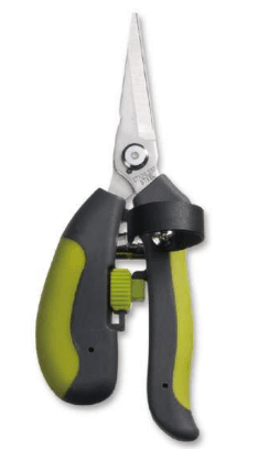 Screenshot 2024-12-16 112557