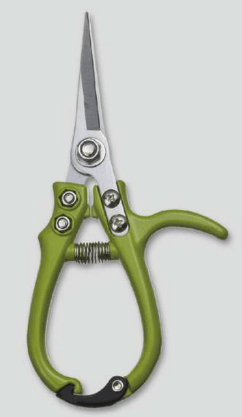 Screenshot 2024-12-16 113006