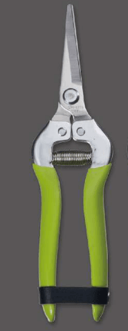 Screenshot 2024-12-16 115230