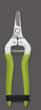 Screenshot 2024-12-16 115303